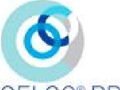 意大利CELCO PROFIL導電滑環(huán)