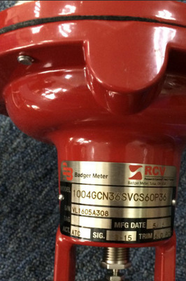 美國(guó)Badger Meter閥門(mén)M-5000